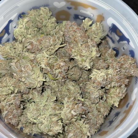 Gorilla Cookies Autoflower