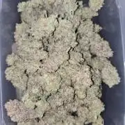 First auto grow