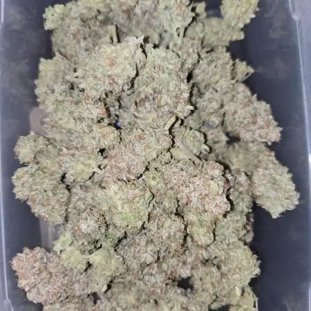 First auto grow