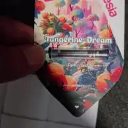 Tangerine dream