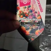 2x Tangerine dream
