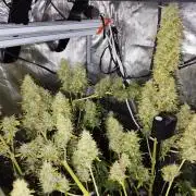 Hindu Kush Ups