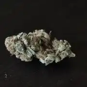 wintergrow