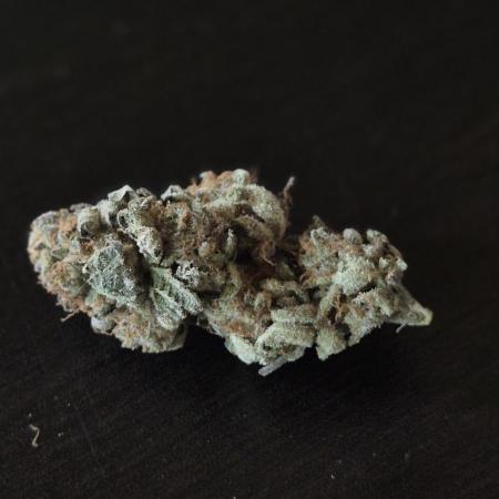 wintergrow