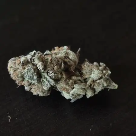 wintergrow