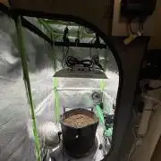 La Taverna Dell'Arte