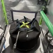 La Taverna Dell'Arte