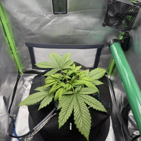 La Taverna Dell'Arte