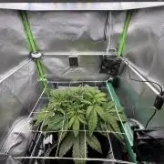 La Taverna Dell'Arte