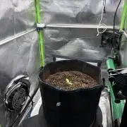 La Taverna Dell'Arte