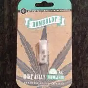 Mint Jelly Auto 🍃❄️