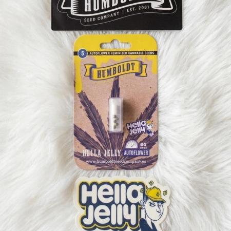 Hella Jelly Auto 🍯🌿