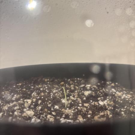 OverDue 🏴‍☠️