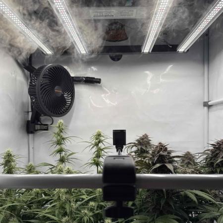 VoGrow‘s Autoflower Grow