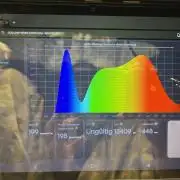 Erster RQS Grow - 01/26