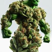 Bruce Banner #3 Auto