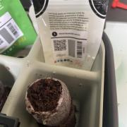 Frostbanger Auto Outdoor Living Soil