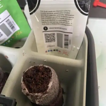 Frostbanger Auto Outdoor Living Soil