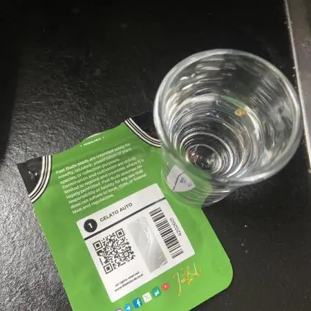 Gelato Auto Living Soil