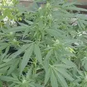 My first journey part 2
