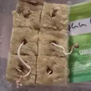 My first journey part 2