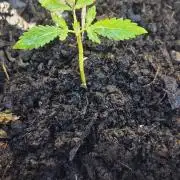My first journey part 2