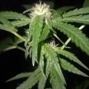 My first journey part 2