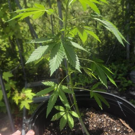 My first journey part 2