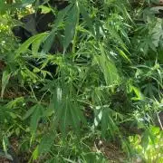 My first journey part 2