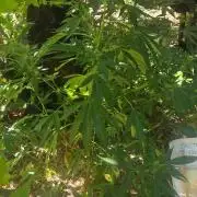 My first journey part 2