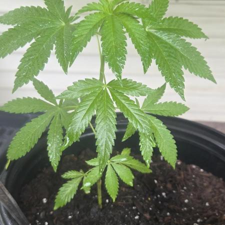 My first journey part 2