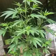 My first journey part 2