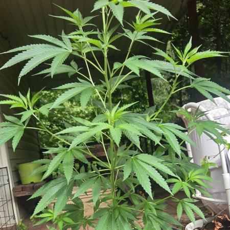 My first journey part 2