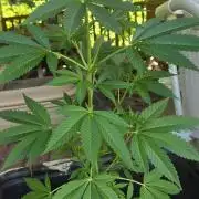 My first journey part 2