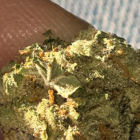 Bruce Banner auto