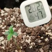 Zkittlez