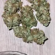 2 Round Super Skunk Automatic