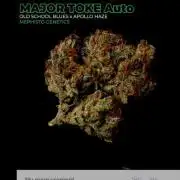 Mephisto Major Toke