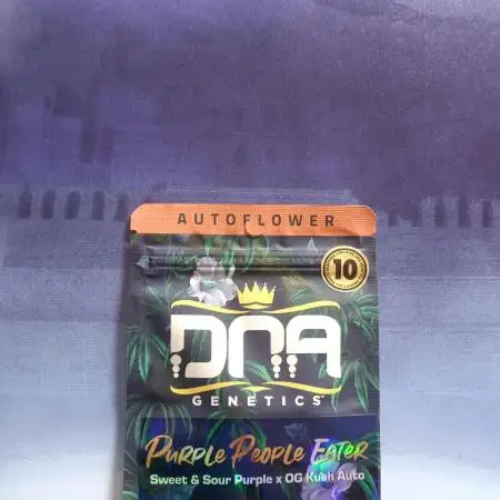 Purple People Eater Auto