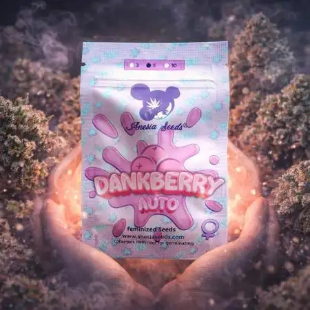 Dankberry Auto-Deep Pots, Full Potential