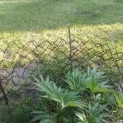 Fat-Bastard Outdoor 🥦👨‍🌾🐝
