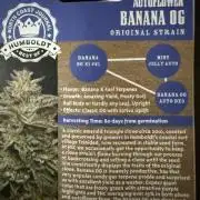 AutoFlower Banana OG