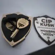 CIP Kush