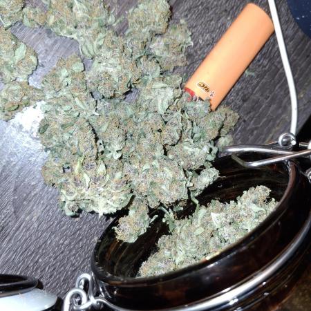 Sensi Sticky Orange XXL
