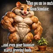 Preparing for the competition.