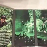 Insane OG first time ever growing