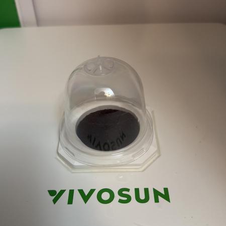 Jack Herer Auto #1 (First Ever Grow)