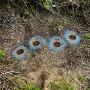 The Hobbit Hole Outdoor Grow 2026
