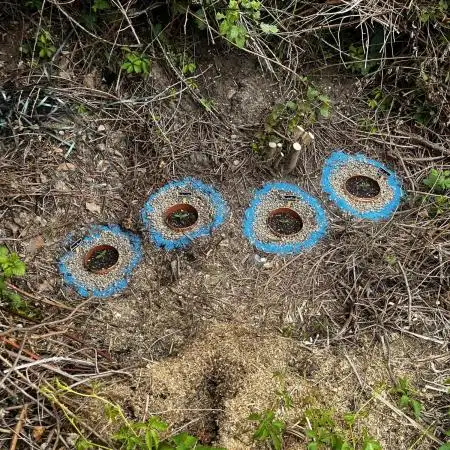 The Hobbit Hole Outdoor Grow 2026