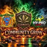 Green Hobbit meets ★Sweet Seeds CCG★